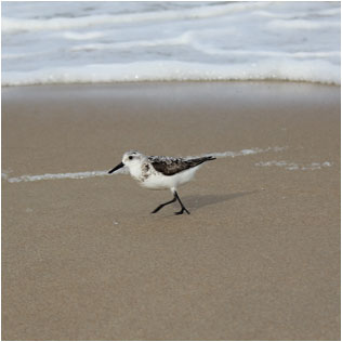 Located in beautiful Virginia Beach, Va.